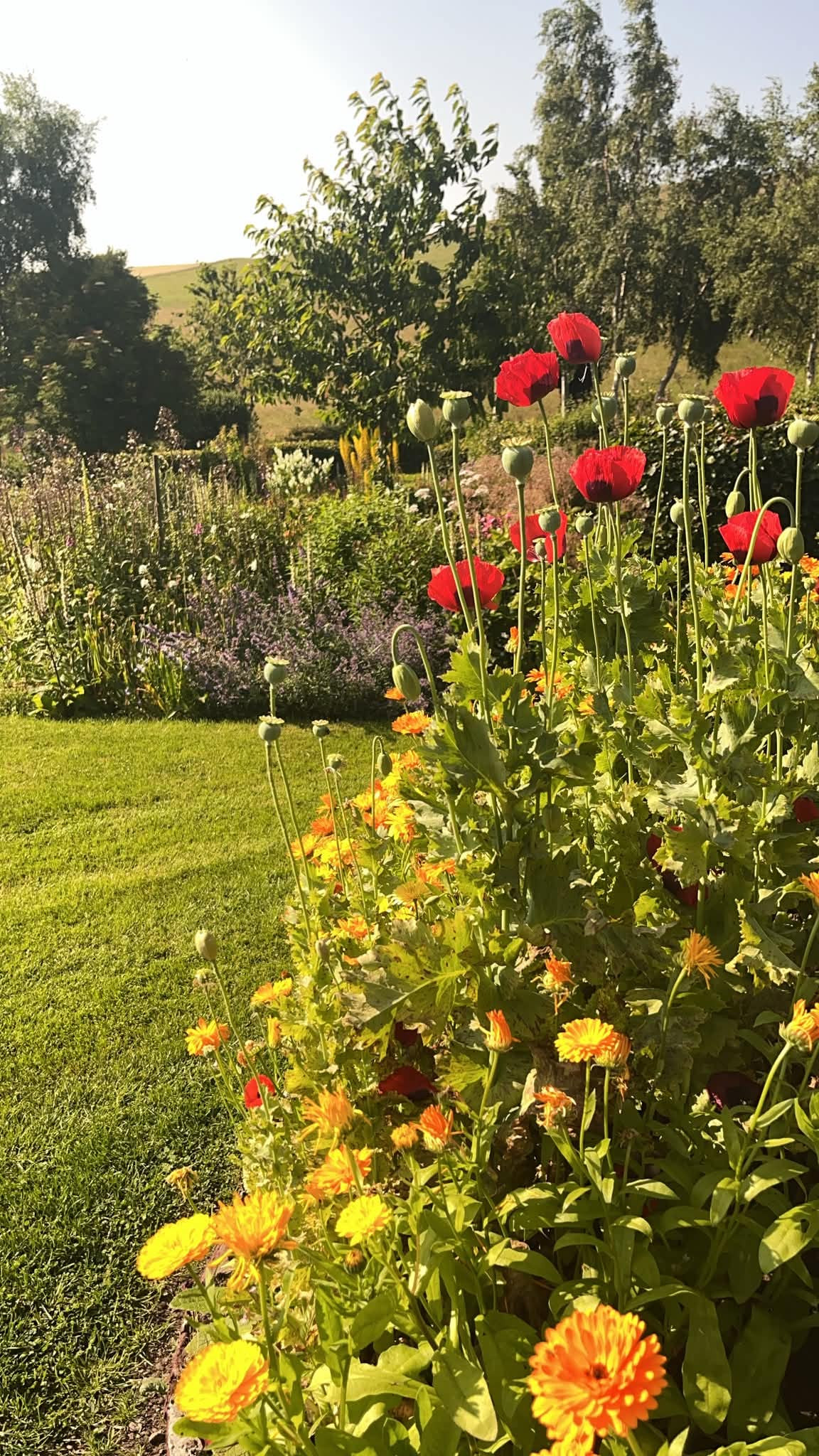 Wellbutts Garden Open Day